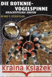 Die Rotknievogelspinne : Brachypelma smithi Striffler, Boris F.   9783937285108 Natur und Tier-Verlag