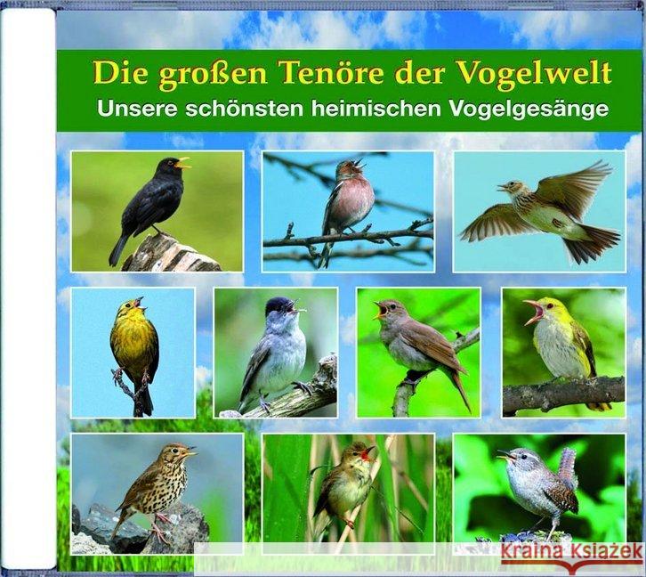 Die großen Tenöre der Vogelwelt, 1 Audio-CD : Unsere schönsten heimischen Vogelgesänge Dingler, Karl-Heinz 9783938147535 Edition Ample