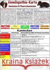 Homöopathie für Kaninchen & Meerschweinchen, Tierheilkunde-Karte    9783939081111 Hawelka