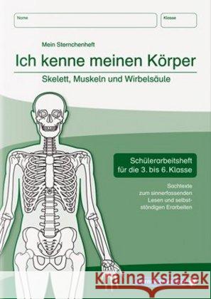 Ich kenne meinen Körper - Skelett, Muskeln und Wirbelsäule : Schülerarbeitsheft für die 3. bis 6. Klasse. Sachtexte zum sinnerfassenden Lesen und selbstständigen Erarbeiten Langhans, Katrin 9783939293347 Sternchenverlag