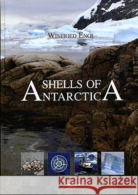 Shells of Antarctica: 2012 W Engl   9783939767442 ConchBooks