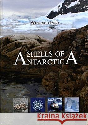 Shells of Antarctica: 2012 W Engl   9783939767442