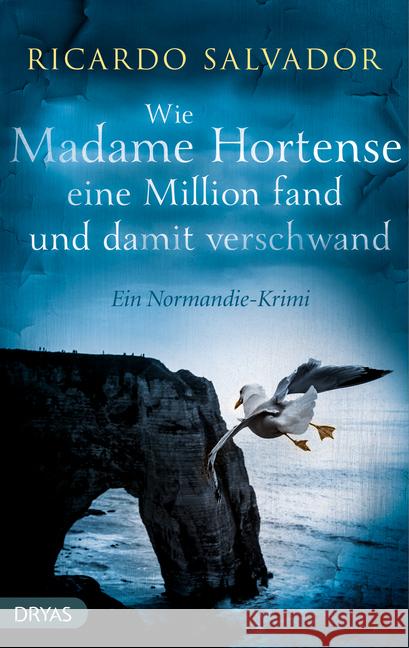 Wie Madame Hortense eine Million fand und damit verschwand : Ein Normandie-Krimi Salvador, Ricardo 9783940855800