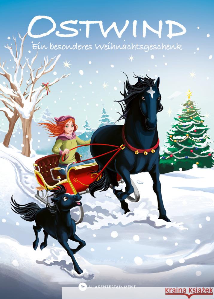 Ostwind - Ein besonderes Weihnachtsgeschenk Thilo 9783940919441