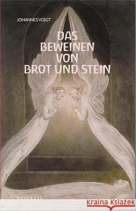 Reihe Geisteswissenschaft / Das Beweinen von Brot und Stein Voigt, Johannes 9783941664753 Novalis