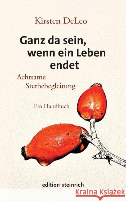 Ganz da sein, wenn ein Leben endet DeLeo, Kirsten 9783942085687