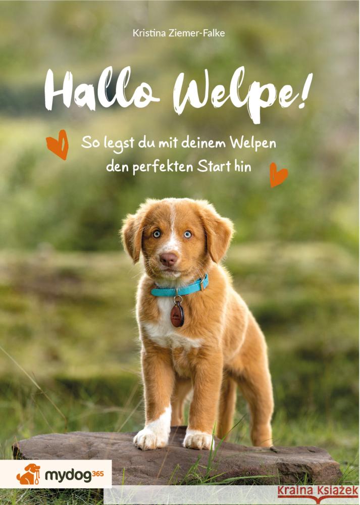 Hallo Welpe! Ziemer-Falke, Kristina 9783942295215 zsr Verlag