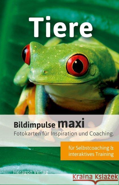 Bildimpulse maxi: Tiere : Fotokarten für Inspiration und Coaching. Pack, Bodo 9783942805827