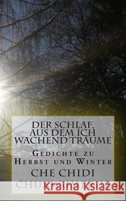 Der Schlaf, aus dem ich wachend träume Chukwumerije, Che Chidi 9783943000603 Boxwood Publishing House