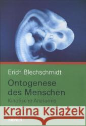 Ontogenese des Menschen : Kinetische Anatomie Blechschmidt, Erich 9783943324037 Kiener