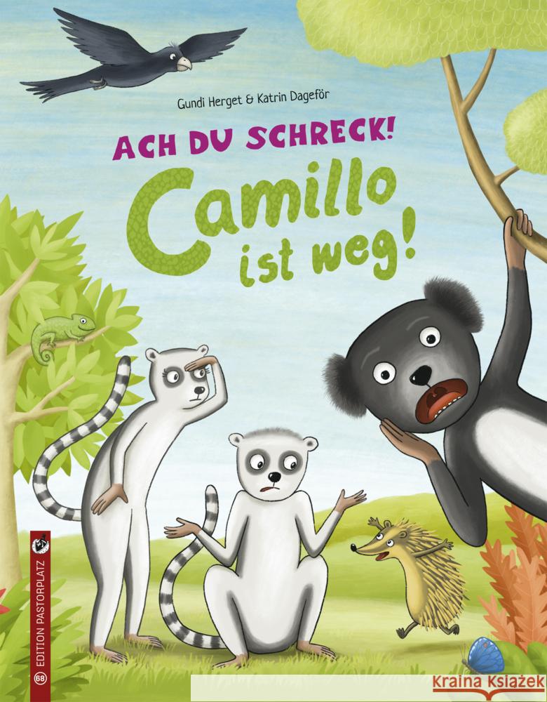 Ach du Schreck! Camillo ist weg! Herget, Gundi 9783943833683 Edition Pastorplatz