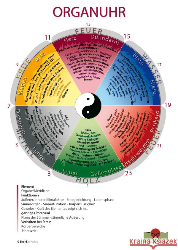 Organuhr Schaubild Loh, Nirgun W.; Sievers, Sakina K. 9783943986037