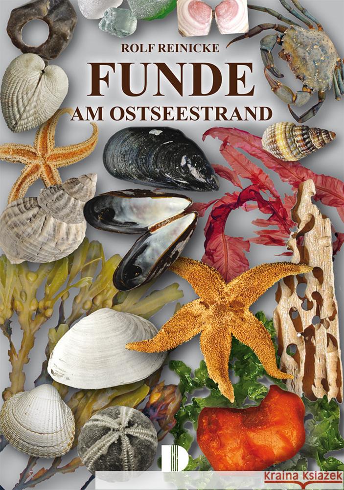 Funde am Ostseestrand Reinicke, Rolf 9783944102696