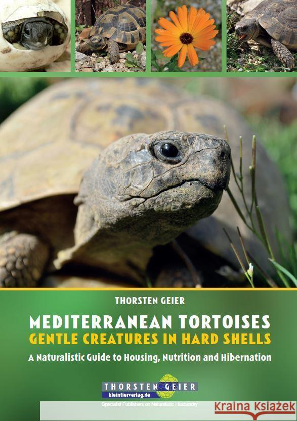 Mediterranean Tortoises: Gentle Creatures in Hard Shells Geier, Thorsten 9783944484334