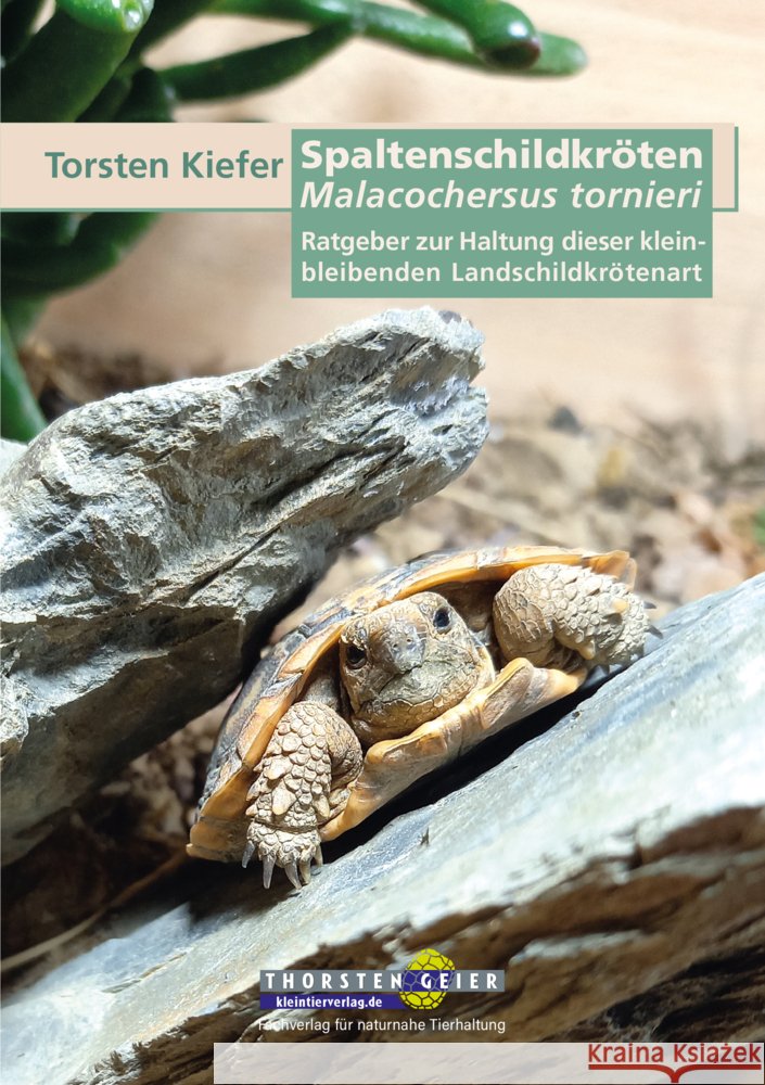 Spaltenschildkröten Malacochersus tornieri Kiefer, Torsten 9783944484372 Kleintierverlag