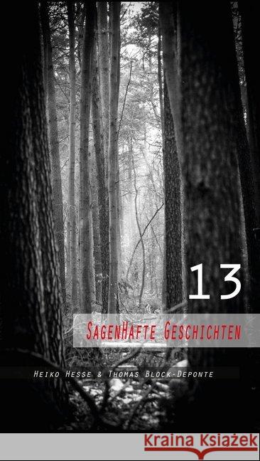 13 sagenhafte Geschichten Hesse, Heiko 9783944879734 Wiesengrund Verlag