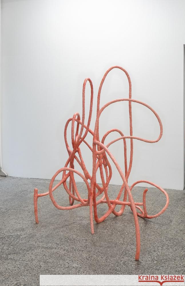 Enne Haehnle Alberti, Sarah, Haehnle, Enne 9783944903972 MMKoehn