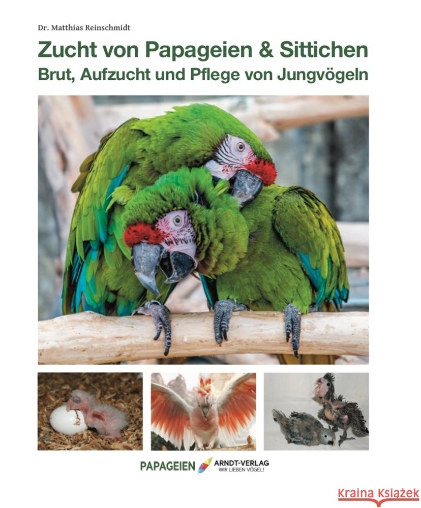 Zucht von Papageien & Sittichen Reinschmidt, Matthias 9783945440636 Arndt-Verlag Bretten