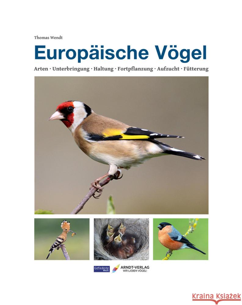 Europäische Vögel Wendt, Thomas 9783945440889 Arndt-Verlag Bretten