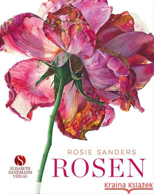 Rosen : Meisterin der Blumenkunst Sanders, Rosie 9783945543702 Elisabeth Sandmann Verlag