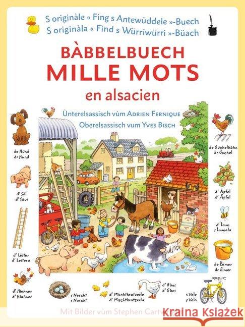 Bàbbelbuech. Mille mots en alsacien : Tausend Wörter elsässisch, Ùnterelsassisch + Oberelsassisch. Bildwörterbuch mit durchgängiger Bebilderung Amery, Heather 9783946190776