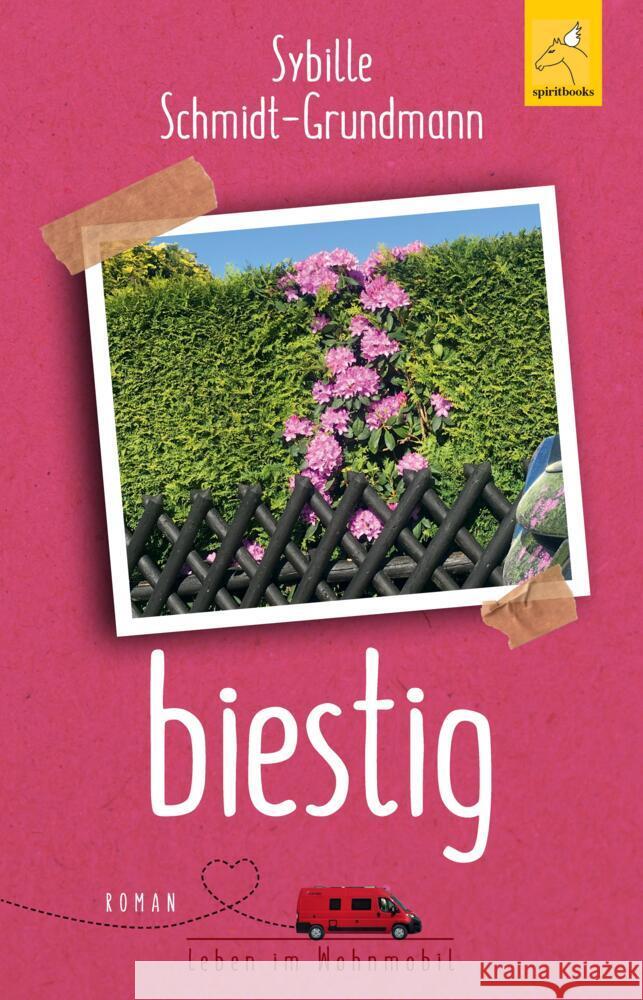 biestig Schmidt-Grundmann, Sybille 9783946435297