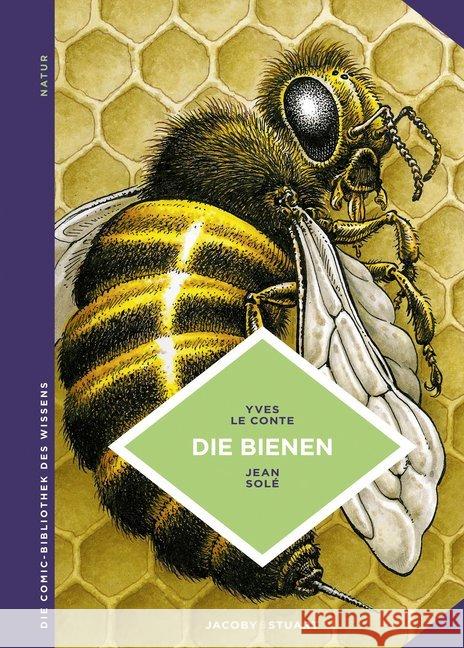 Bienen : Sie kennenlernen und dadurch besser schützen Le Conte, Yves 9783946593744 Jacoby & Stuart