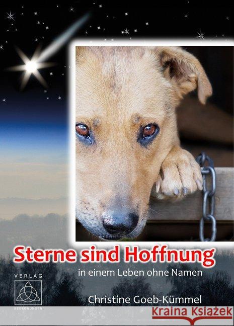 Sterne sind Hoffnung : ... in einem Leben ohne Namen Goeb-Kümmel, Christine 9783946723349