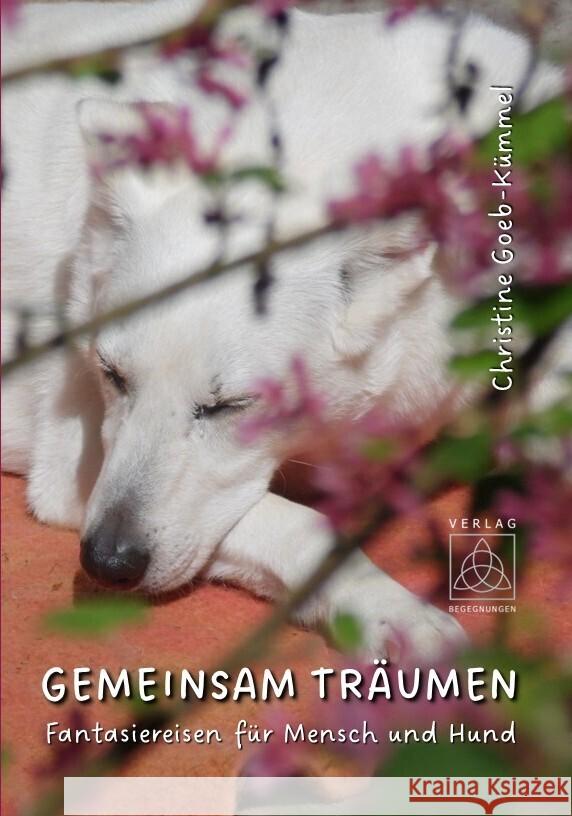 Gemeinsam träumen Goeb-Kümmel, Christine 9783946723769 Begegnungen Verlag für Natur und Leben