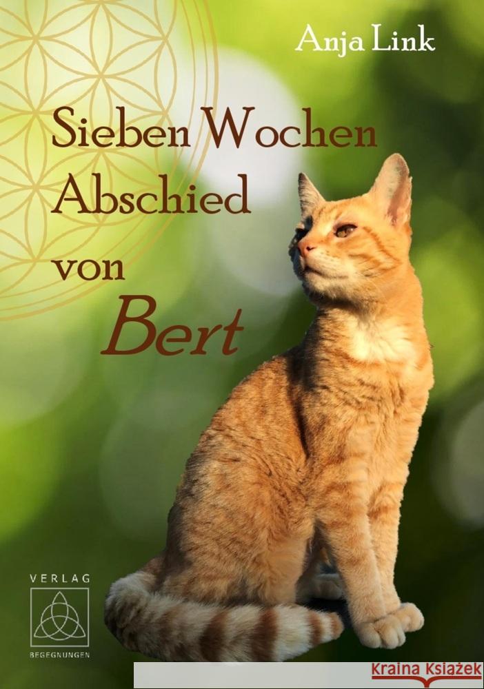 Sieben Wochen Abschied von Bert Link, Anja 9783946723837