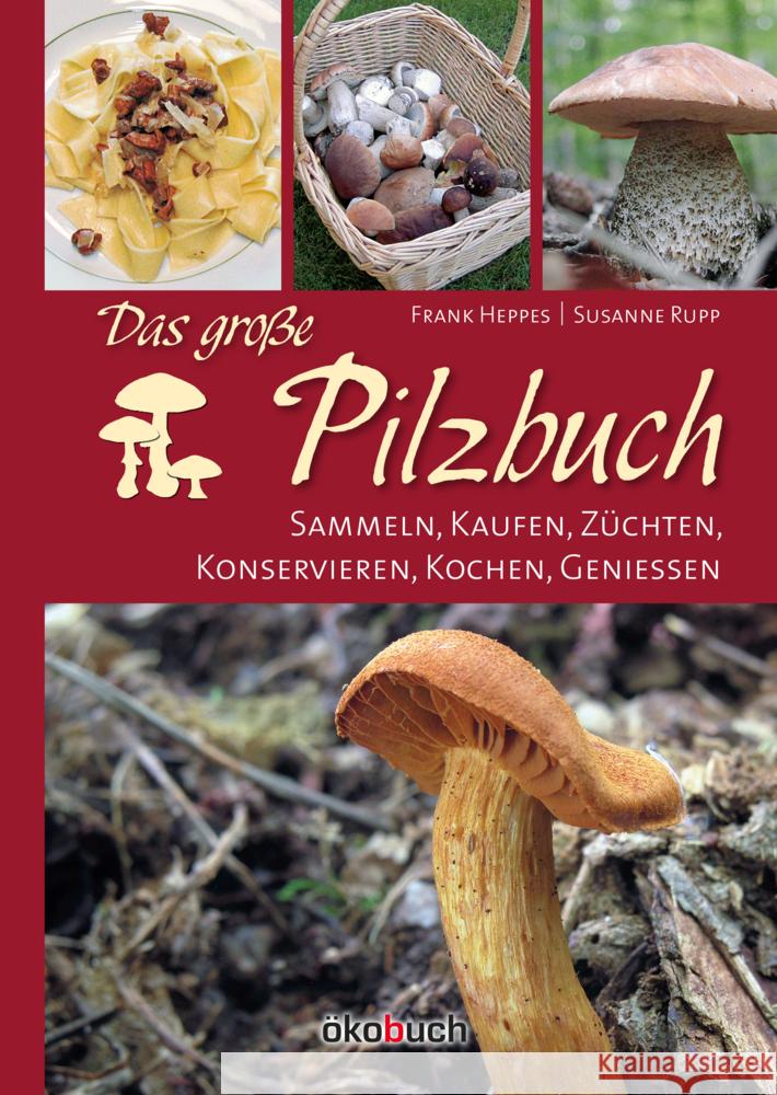 Das große Pilzbuch Rupp, Susanne, Heppes, Frank 9783947021291 Ökobuch Verlag u. Versand
