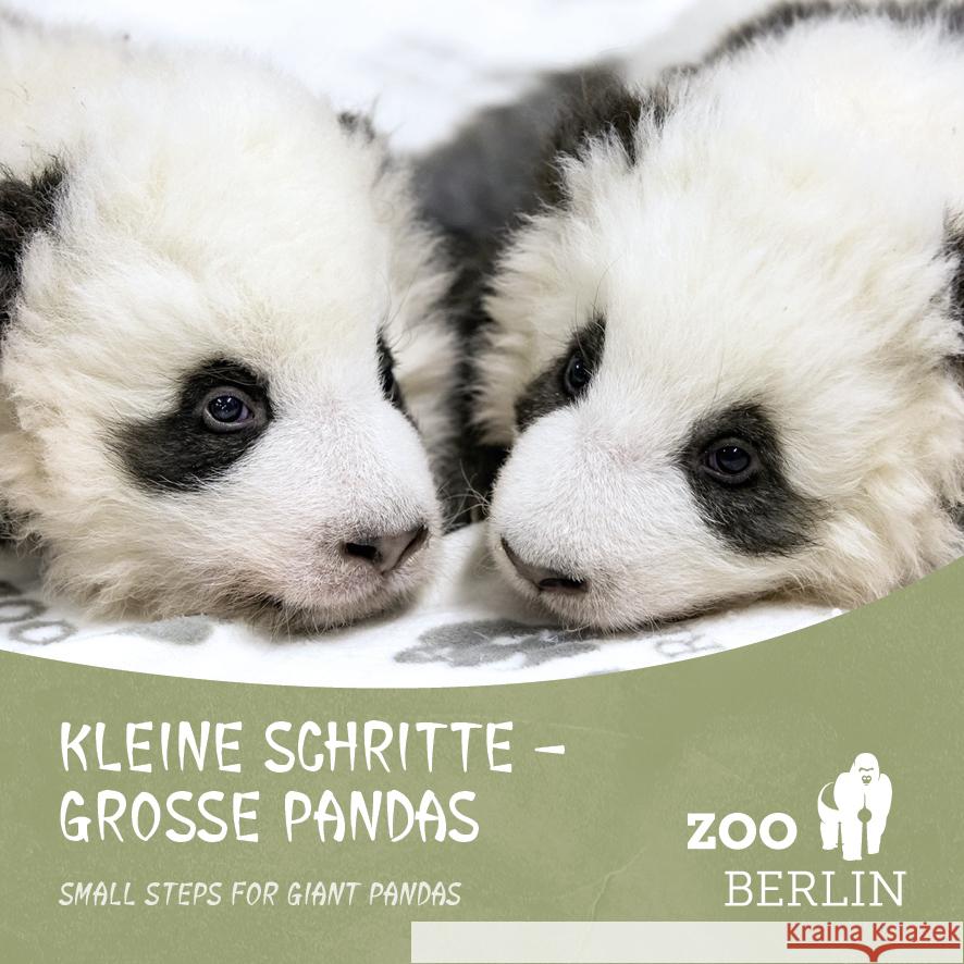 Kleine Schritte - Große Pandas / Small steps for giant Pandas Zoo Berlin 9783947188963