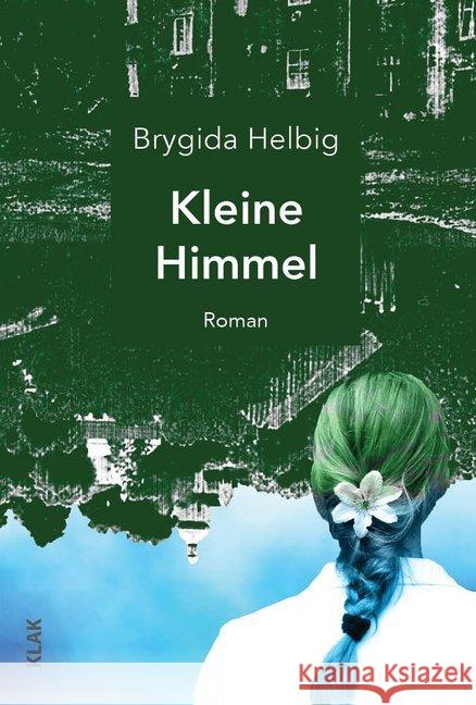 Kleine Himmel : Roman Helbig, Brygida 9783948156077