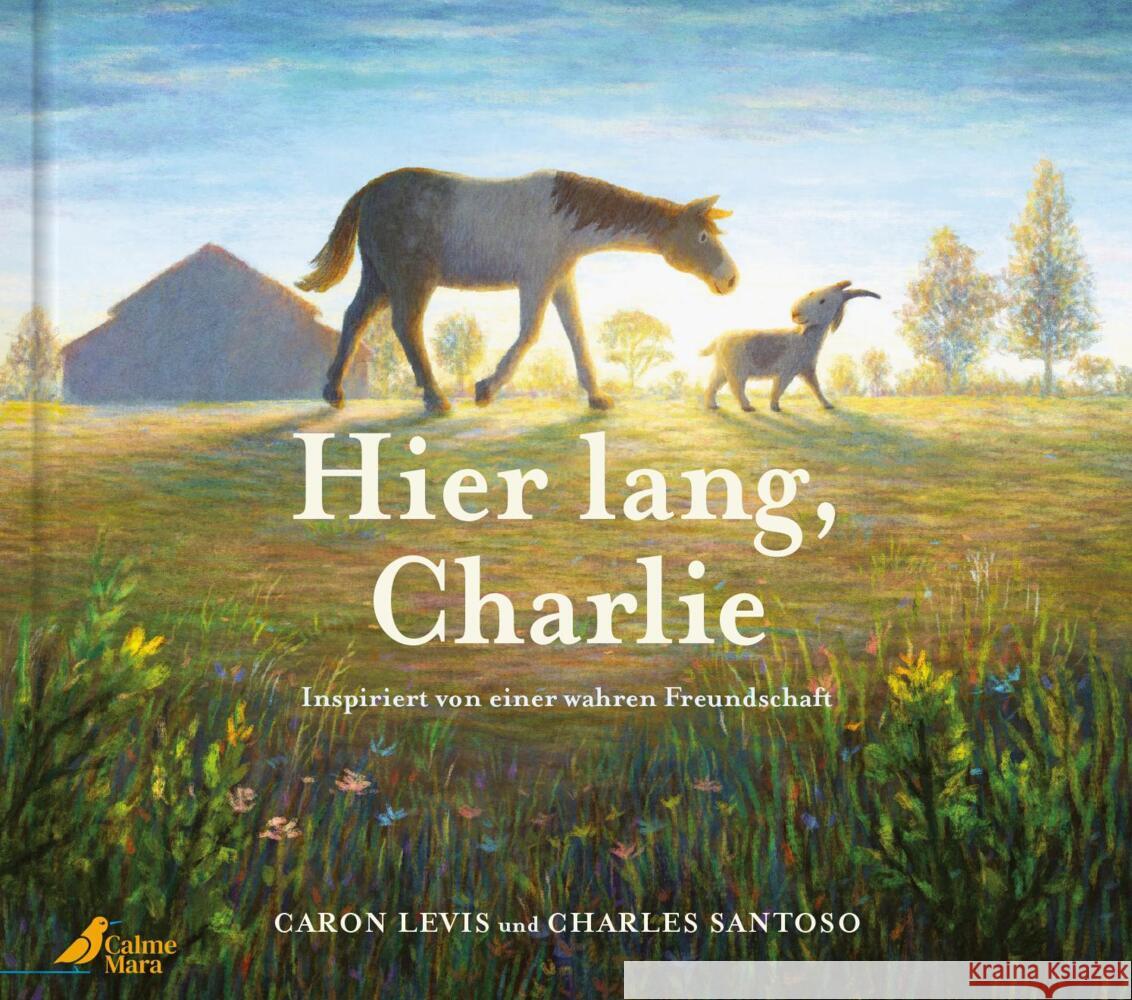 Hier lang, Charlie Levis, Caron 9783948877774 CalmeMara Verlag