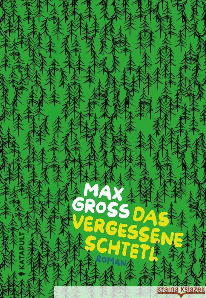 Das vergessene Schtetl Gross, Max 9783948923884