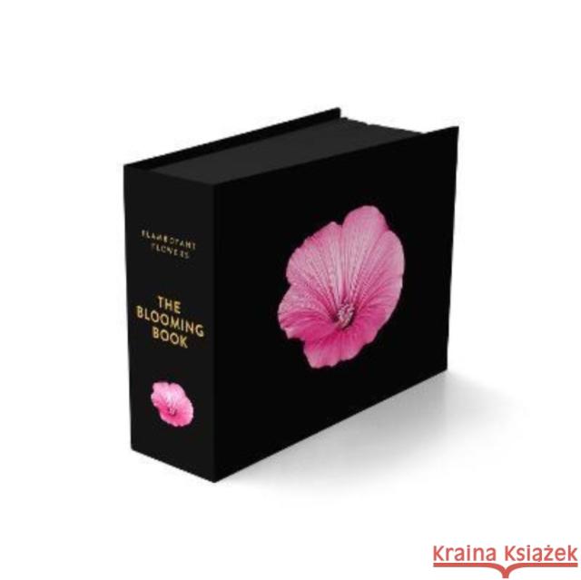 The Blooming Book Nicolas Meriel 9783949070136