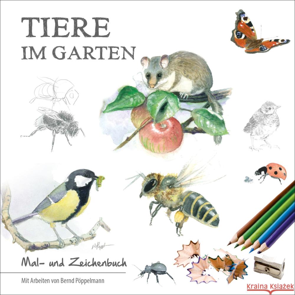 Tiere im Garten Pöppelmann, Bernd 9783949076145