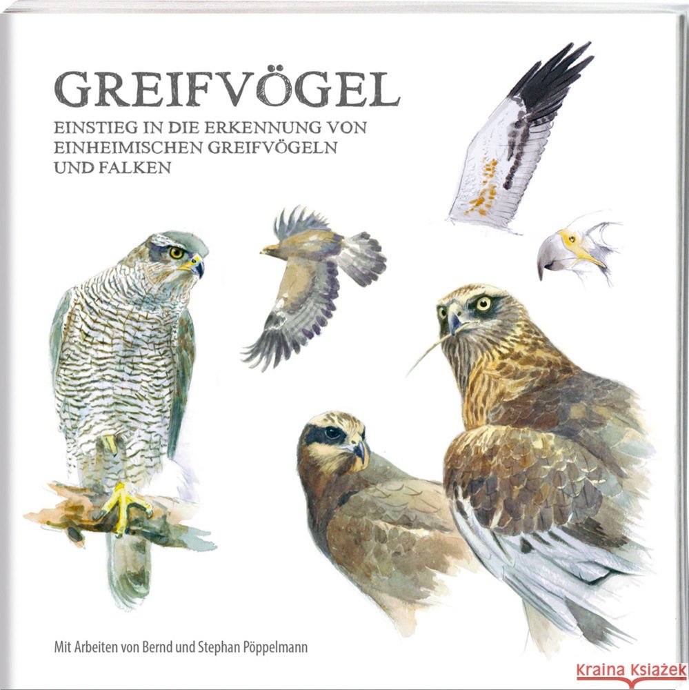 Greifvögel Pöppelmann, Bernd, Pöppelmann, Stephan 9783949076275 Tecklenborg