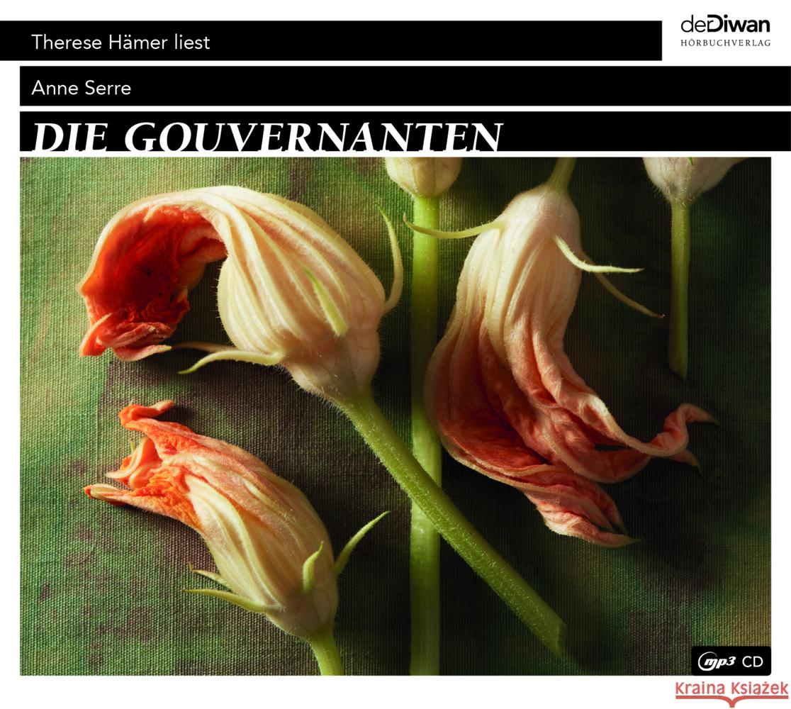 Die Gouvernanten, 1 Audio-CD Serre, Anne 9783949840258
