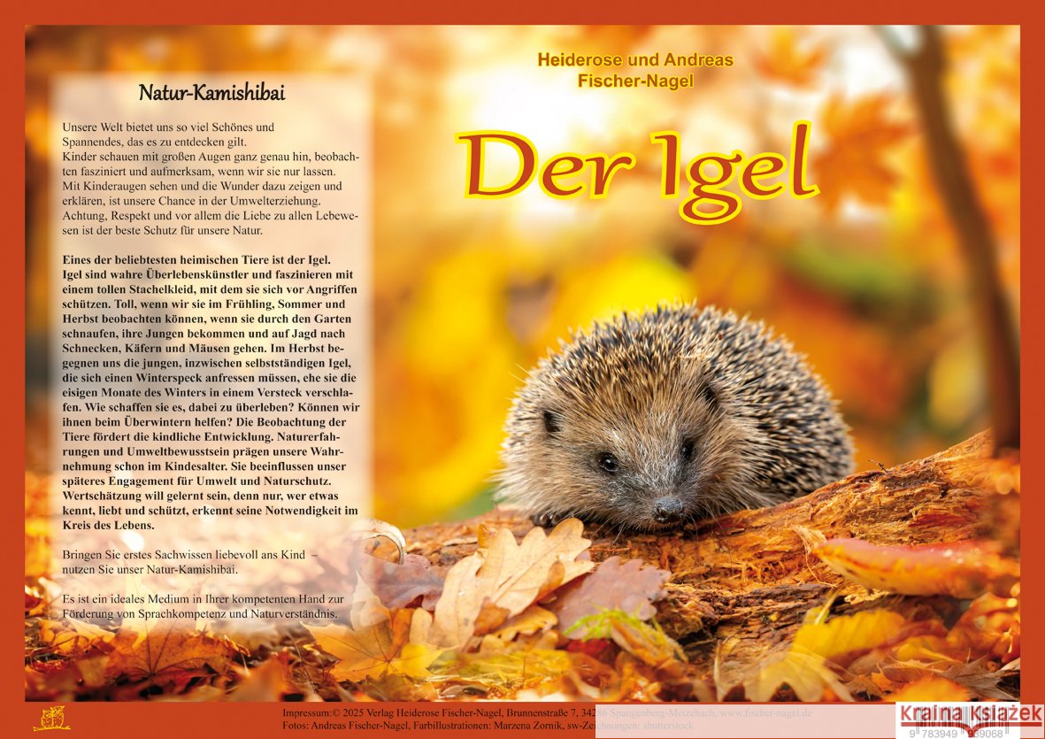 Natur-Kamishibai / Der Igel - Natur-Kamishibai Fischer-Nagel, Andreas, Fischer-Nagel, Heiderose 9783949939068 Fischer-Nagel