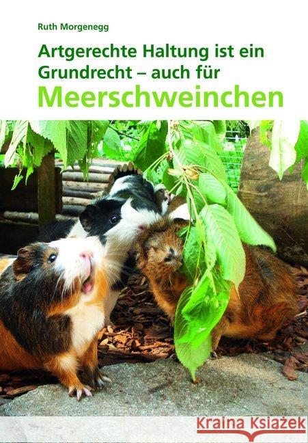 Artgerechte Haltung, ein Grundrecht auch für Meerschweinchen Morgenegg, Ruth   9783952266106