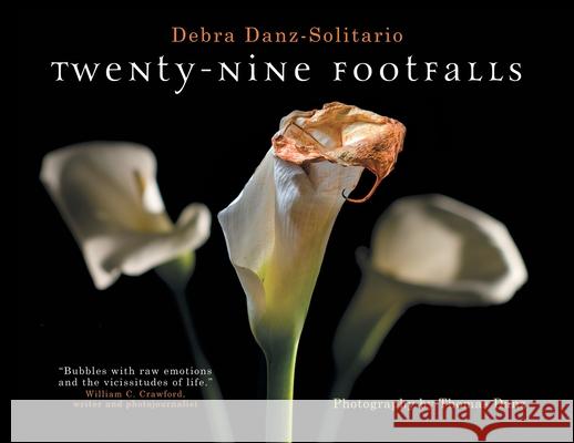 Twenty-Nine Footfalls Debra Danz-Solitario 9783952509401 Debra Danz Solitario