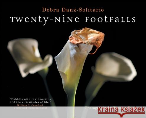 Twenty-Nine Footfalls Debra Danz-Solitario 9783952509432 Debra Danz Solitario