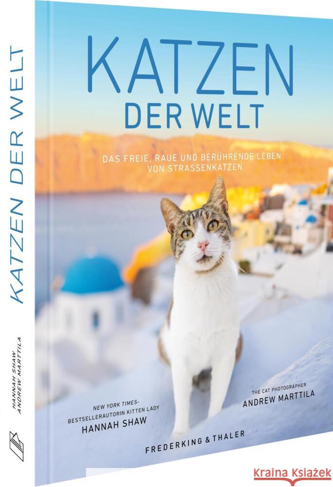 Katzen der Welt Shaw, Hannah 9783954164646