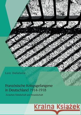 Französische Kriegsgefangene in Deutschland 1914-1918: Zwischen Feindschaft und Freundschaft Delafaite, Loïc 9783954256228