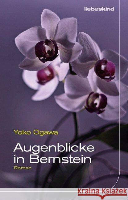 Augenblicke in Bernstein : Roman Ogawa, Yoko 9783954381005