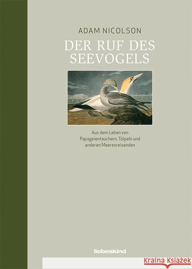 Der Ruf des Seevogels Nicolson, Adam 9783954381364