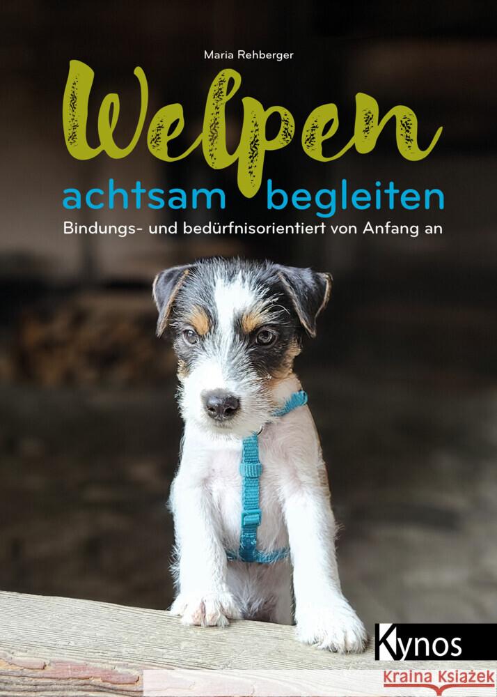 Welpen achtsam begleiten Rehberger, Maria 9783954643424