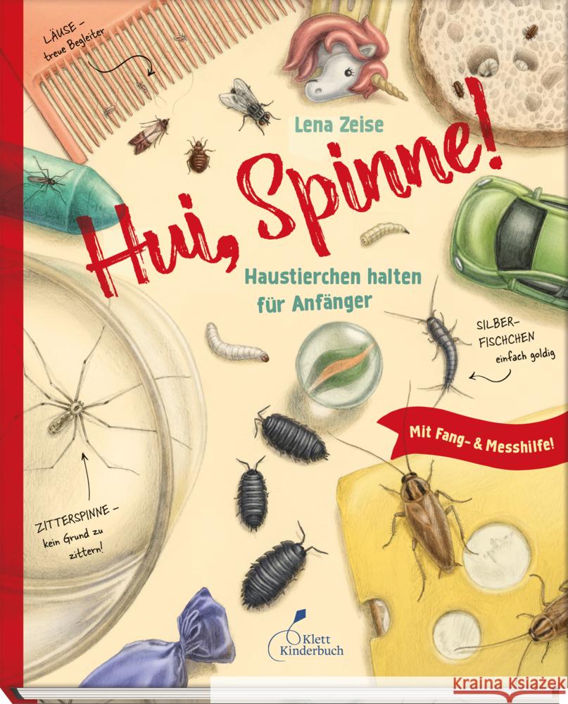 Hui, Spinne! Haustierchen halten für Anfänger Zeise, Lena 9783954703098 Klett Kinderbuch Verlag