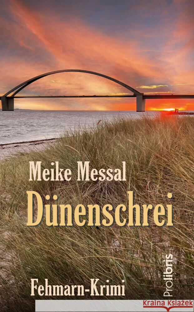 Dünenschrei Messal, Meike 9783954752454 Prolibris Verlag Rolf Wagner